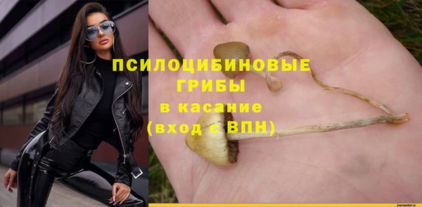 бошки Красноперекопск
