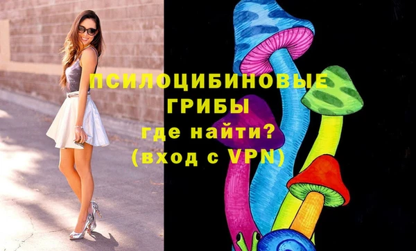 герыч Коряжма
